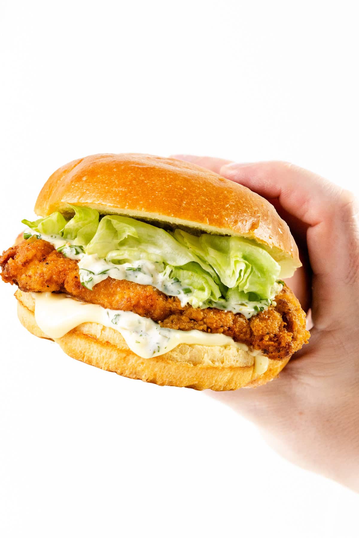 pickle brined fried chicken sandwich - Article 1